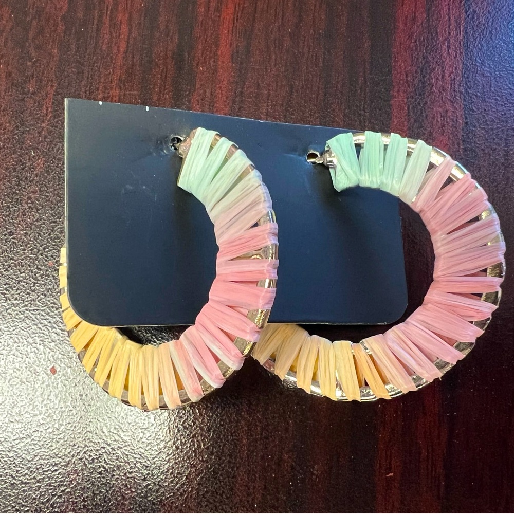 Rainbow Colored Hoop Earrings